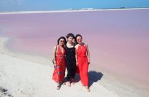 Cancun tour Las Coloradas Pink Lagoon + Rio Lagartos Tour