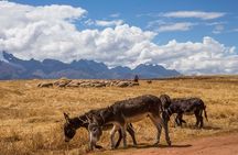 Salt Mines at Maras and Hiking to Tours of Sacred Valley