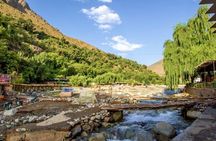 Ourika Valley and Atlas Mountains Full Day Tour with Lunch