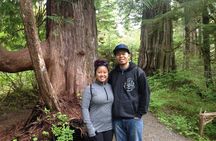3 Hour Rainforest Walk & Totem Park Wild Wolf Tours