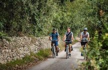 Lecce to Cesine Protected Natural Reserve Full-Day Bike Tour