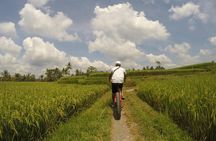 Electric Bike Tour in Ubud