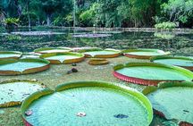 Botanical Garden, a Place of Science, Culture, and Leasure