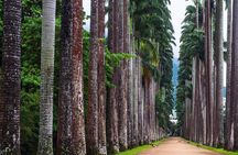 Botanical Garden, a Place of Science, Culture, and Leasure