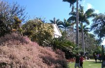 The landscaper Burle Marx and its site - cultural heritage