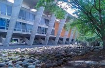 Museums of Modern and Contemporary Art in Rio and Niteroi