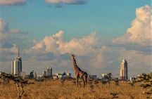 Tour: Giraffe Center and Nairobi National Park