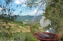 Greve in Chianti Wine Tasting and Winery Tour