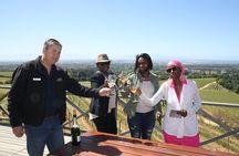 Premium Full-Day Wine Tour in Constantia from Cape Town