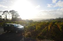 Private: Full Day Ultra-Premium Wine Tour from Cape Town to Constantia