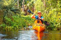 Wekiva River Guided Kayak Tour