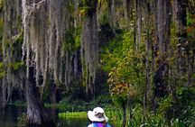 Wekiva River Guided Kayak Tour