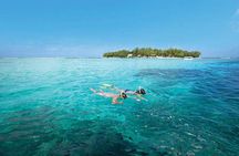 Full Day at Ile Des Deux Cocos