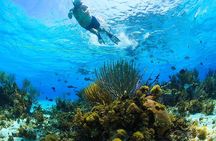 Private Stingray City and Snorkeling Half Day Charter for 6 Guest