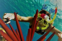Molokini Crater Zodiac Adventure: Snorkel and Turtle Cove Swim 