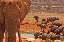 2 Days Amboseli National Park Safari- Guarantee Daily Departure