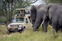 5 Day Best Camping Safari in Tanzania Parks