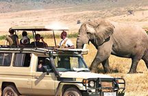 5 Day Best Camping Safari in Tanzania Parks