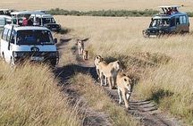6-Day Best of Tanzania Lake Manyara, Serengeti, Ngorongoro & Tarangire - Comfort