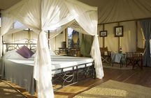 6-Day Best of Tanzania Lake Manyara, Serengeti, Ngorongoro & Tarangire - Comfort