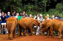 Giraffe Center,Orphanage, Beads Center & Bomas cultural Dance