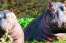 2 day Tour to Hell's Gate, Lake Naivasha & Crescent Island - Daily Departures