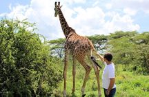 5 Days Hell's Gate, L. Naivasha, L. Nakuru & Masai Mara Luxury Safari
