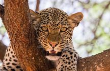 3 Days Masai Mara 