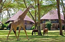 5 Days Hell's Gate, L. Naivasha, L. Nakuru & Masai Mara Luxury Safari