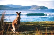 The Eurobodalla Experience (Full day private tour including lunch)