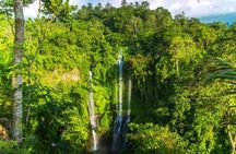 Small-Group Sekumpul Waterfall Jungle Trek with Lunch