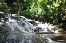Blue Hole, Dunn's River Falls Luminous Lagoon Excursion From Montego Bay