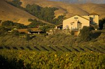 Muir Woods & Napa-8hr-Private Scenic Wine Tour From San Francisco