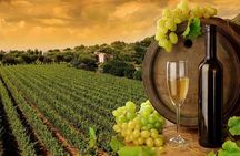 8hr-Private Wine Tour from SF & 1/2 Case of Californian wine.