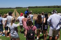 Margaret River Wine Tour: The Full Bottle