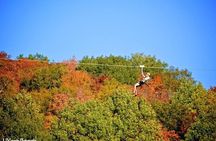 Ziplines over Laurentian Mountains at Mont-Catherine