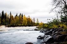 Explore the Wilderness (Summer & Autumn)