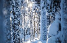 Backcountry skiing adventure