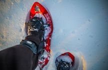 Wilderness snowshoe adventure