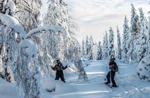 Wilderness snowshoe adventure
