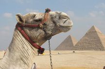 Private Journey :Grand Egyptian Museum & Giza Pyramids 