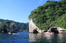 Small Group Snorkeling in Los Arcos, Puerto Vallarta