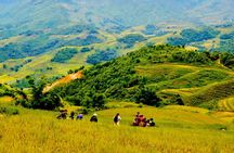 1 day Private tour Sapa trekking Y Linh Ho - Lao Chai - Ta Van (start from Sapa)