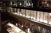 Acropolis Museum by Night - Private Tour