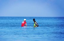 Private Surf Lesson
