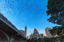 Congress Avenue Bat Bridge Kayak Tour in Austin