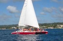 Barbados Catamaran Turtle Snorkel with Lunch and Open Bar 