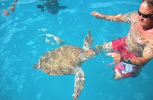 Barbados Catamaran Turtle Snorkel with Open Bar 