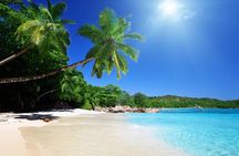 Private Day Trip Cebu to Bohol w/ Chocolate Hills & Loboc Cruise