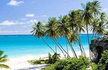 Barbados Full-day Coast to Coast Tour
